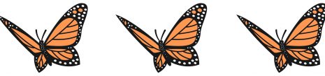 monarch butterflies icon