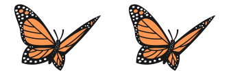 illustration of two monarch butterflies