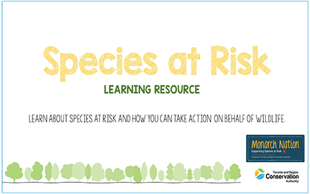 opening slide of Monarch Nation Species at Risk Learning Resource