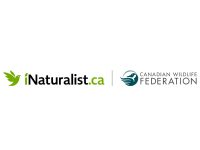 iNaturalist - Canadian Wildlife Federation